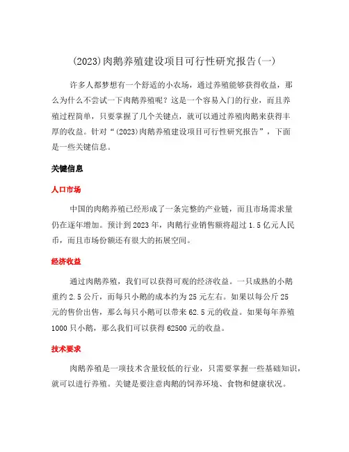 (2023)肉鹅养殖建设项目可行性研究报告(一)
