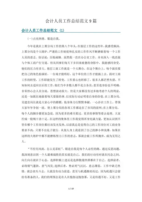会计人员工作总结范文9篇