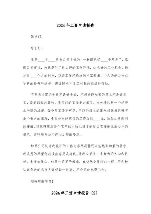 2024年工资申请报告(3篇)