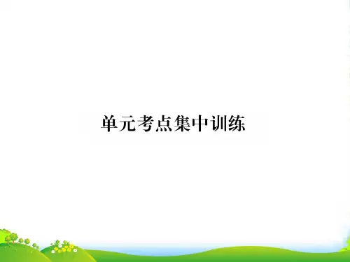 人教新目标九年级英语(黔东南)习题课件：Unit9 单元考点集中训练 (共17张PPT)