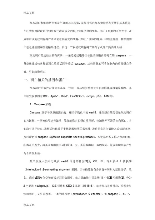 (整理)凋亡相关的基因和蛋白.