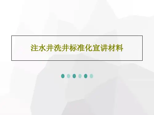 注水井洗井标准化宣讲材料67页PPT