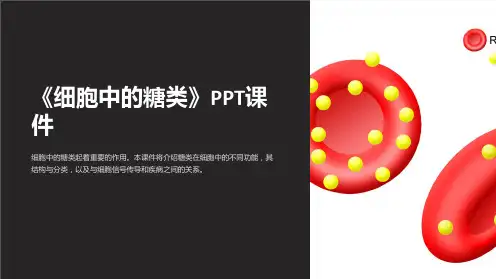 《细胞中的糖类》课件