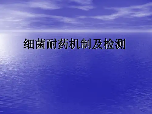 细菌耐药 PPT课件 