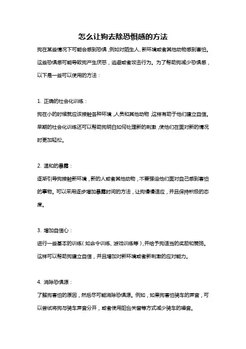 怎么让狗去除恐惧感的方法
