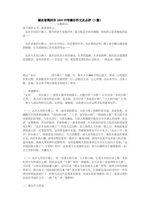 湖北省荆州市中考满分作文及点评(3篇)