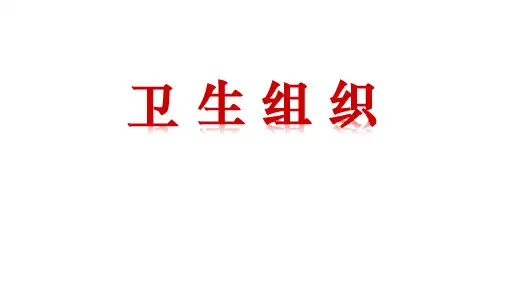 卫生组织-卫生事业管理课件