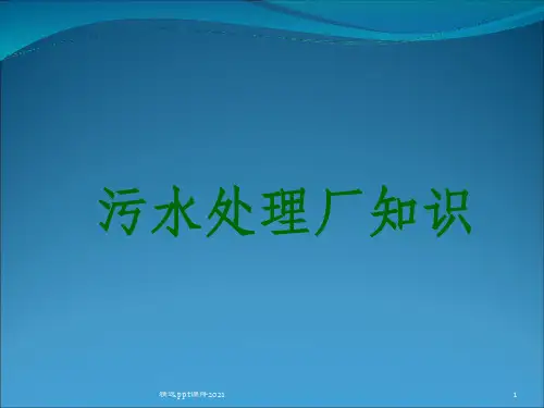 污水处理厂知识培训ppt课件