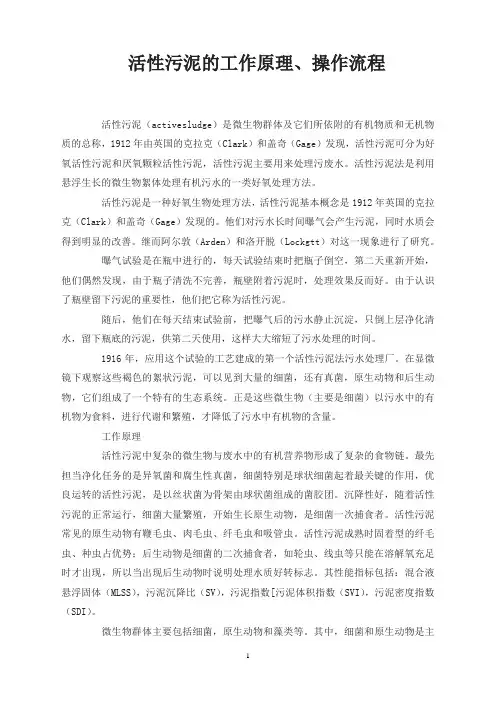 活性污泥的工作原理、操作流程