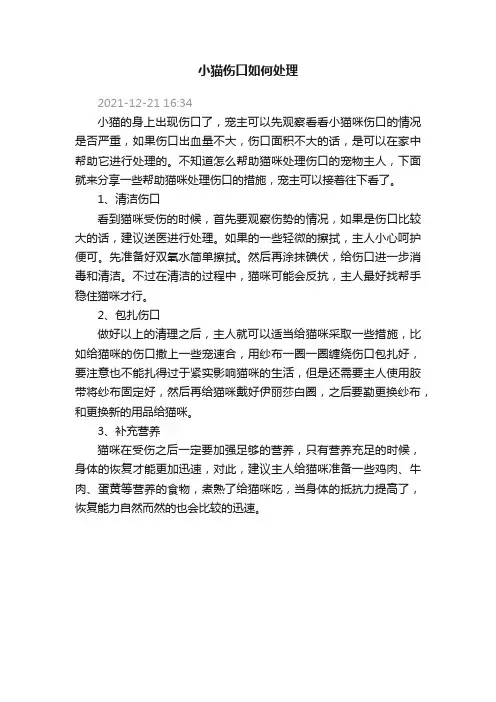 小猫伤口如何处理