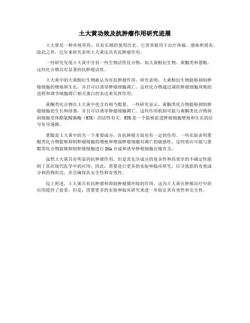土大黄功效及抗肿瘤作用研究进展