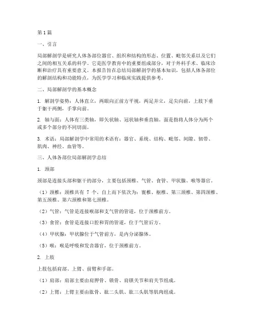 局部解剖学总结报告范文(3篇)