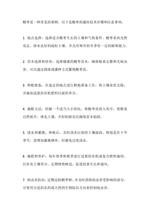 酸枣的栽培技术
