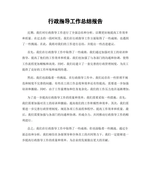 行政指导工作总结报告
