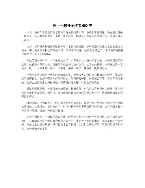 种下一粒种子作文600字