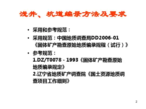 浅井坑道编录方法及要求