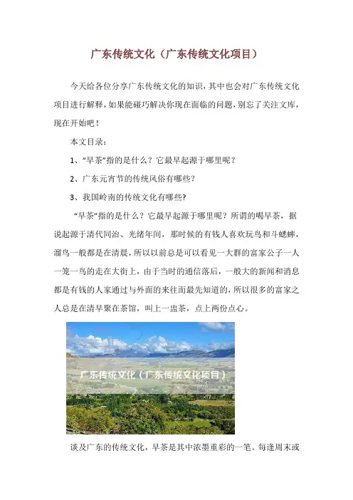 广东传统文化(广东传统文化项目)