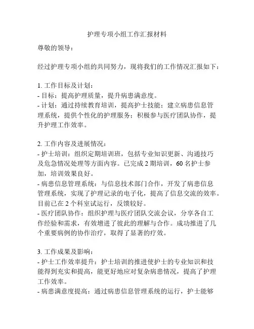 护理专项小组工作汇报材料