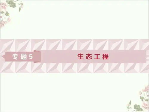 生态工程的基本原理PPT课件(原文)PPT
