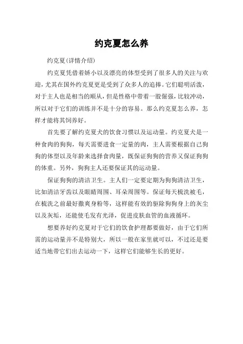 约克夏怎么养