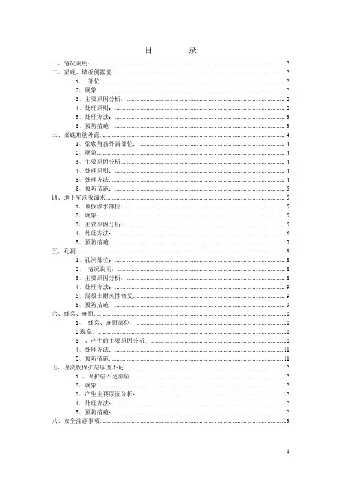 露筋渗漏整改方案 Word 文档