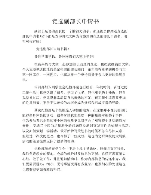 竞选副部长申请书