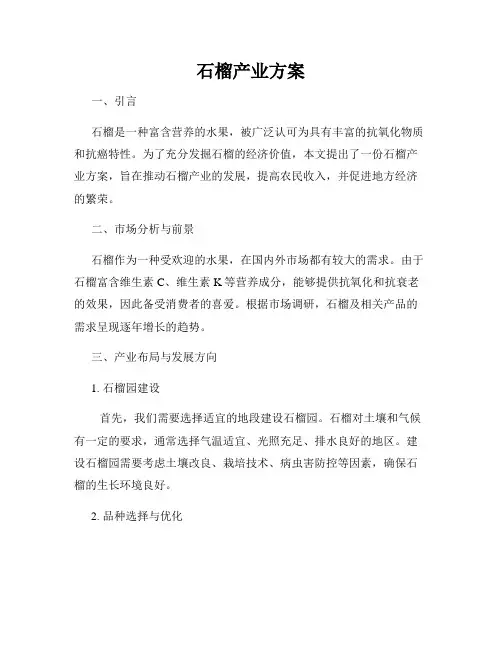 石榴产业方案