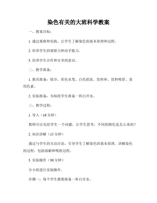 染色有关的大班科学教案