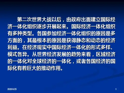 经济一体化63页PPT