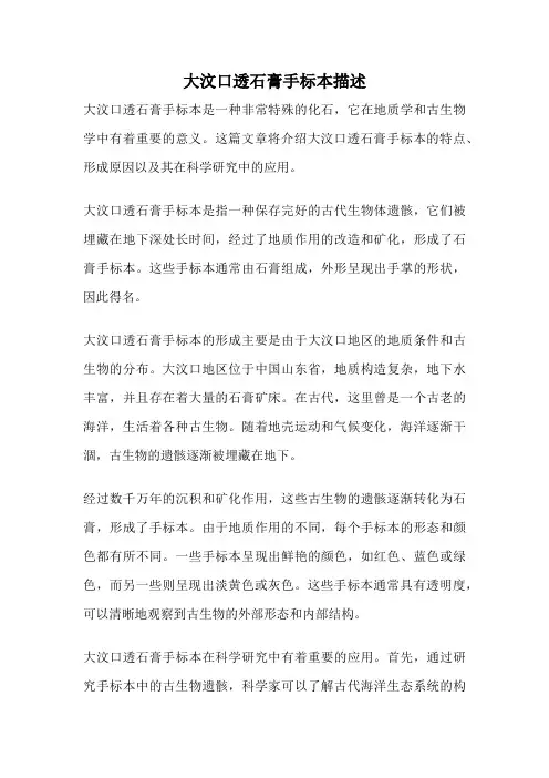 大汶口透石膏手标本描述