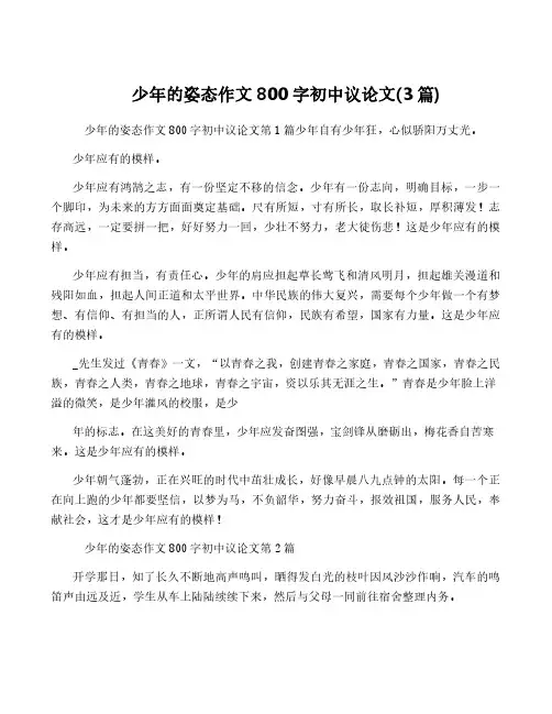 少年的姿态作文800字初中议论文(3篇)