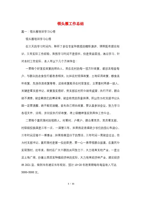 领头雁工作总结