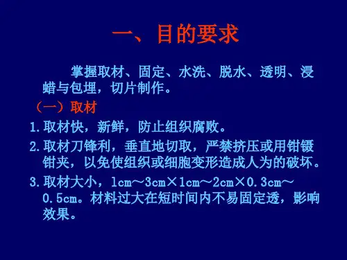 法医病理学组织切片制作