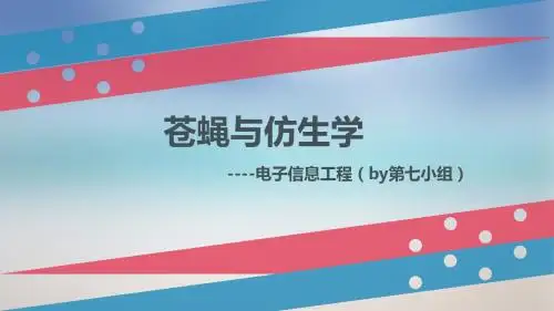 苍蝇与仿生学修改版