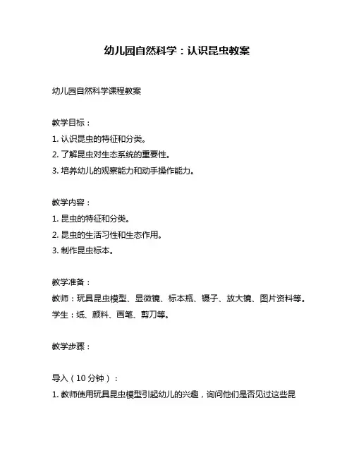 幼儿园自然科学：认识昆虫教案