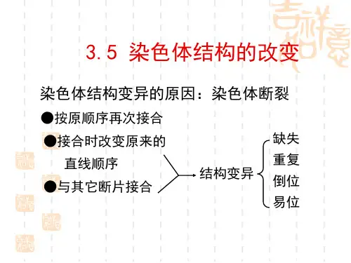 高中生物 4染色体变异