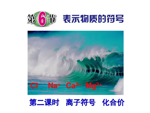 离子符号 化合价