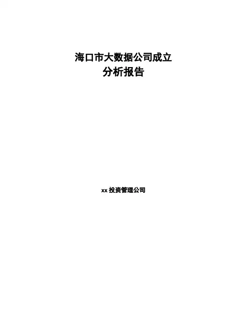 海口市大数据公司成立分析报告