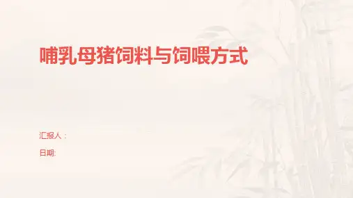 哺乳母猪饲料与饲喂方式