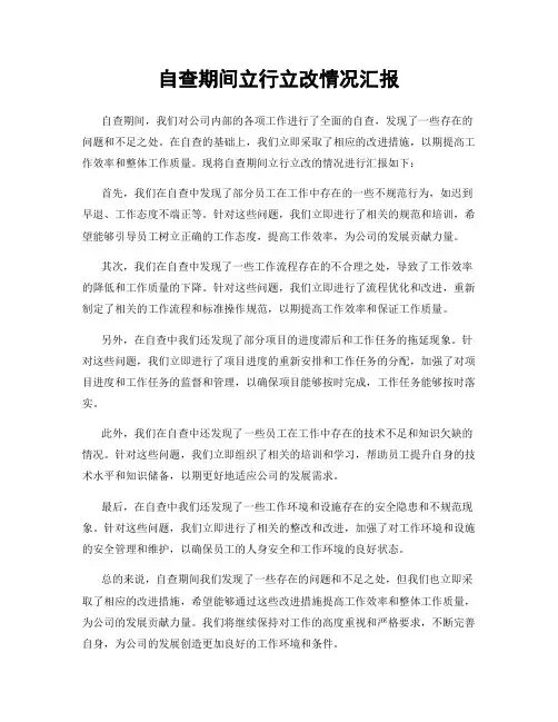自查期间立行立改情况汇报