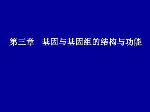 分子生物学第三章  基因与基因组的结构与功能