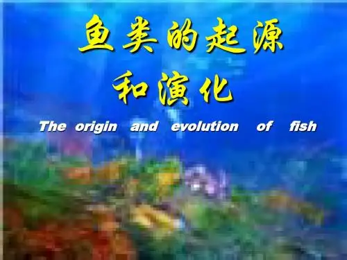 鱼类的起源和演化