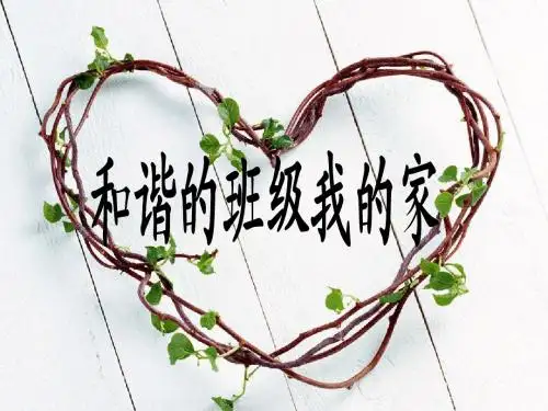 我与班集体_第16周主题班会