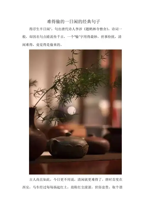 难得偷的一日闲的经典句子