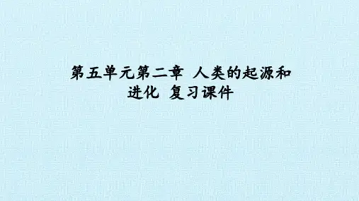 济南出版社初中八年级生物：第五单元第二章 人类的起源和进化 复习课件