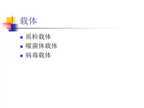 载体
