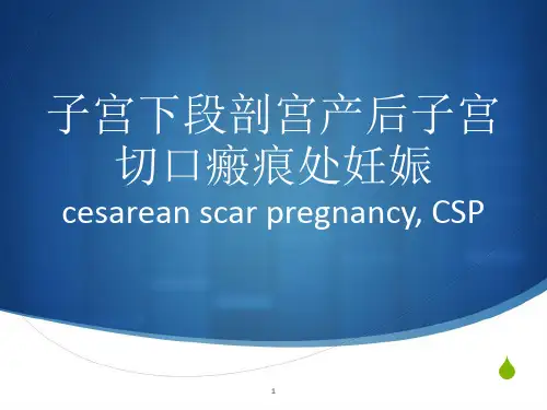 子宫下段剖宫产后子宫切口瘢痕处妊娠PPT课件