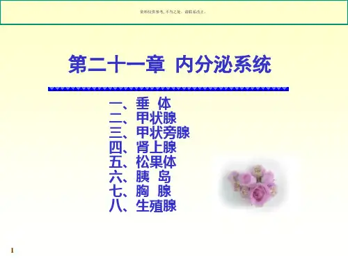内分泌系统知识