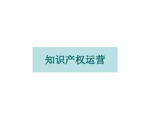 知识产权运营方案(PPT 45张)