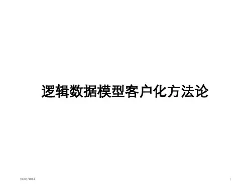 FSLDM逻辑数据模型开发培训客户化方法论PPT课件